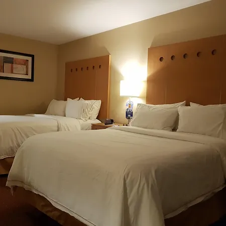 Holiday Inn Express Saltillo Zona Aeropuerto, an IHG Hotel-2