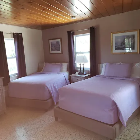 Siesta Motel-2