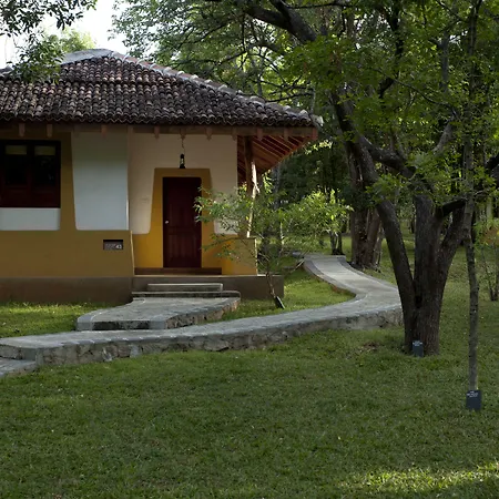 Amaya Lake Dambulla-2