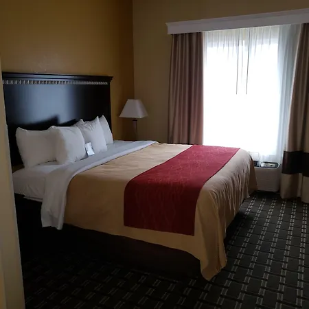 Comfort Inn Marion - West Memphis-3