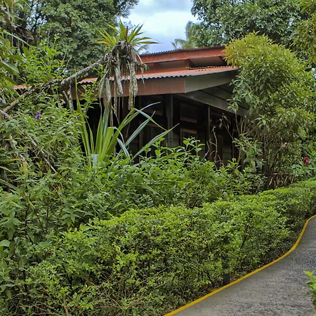 Pachira Lodge-3