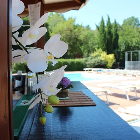 Piccolo Hotel Nogara-2