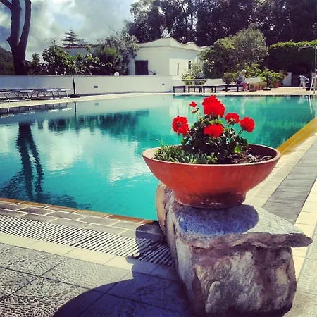 Hotel Al Bosco-2