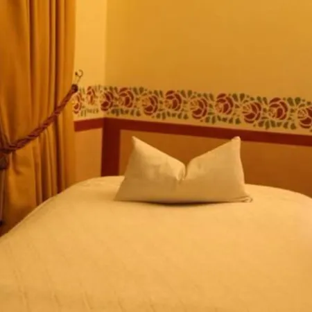 Alpen Suite Hotel-3