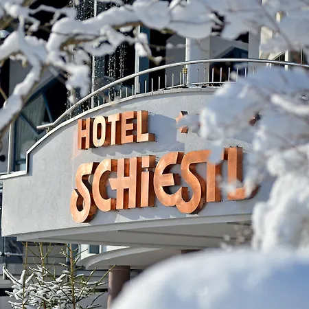 Wohlfuehlhotel Schiestl-3