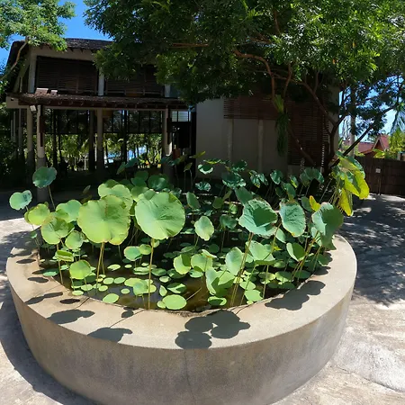 Chantaramas Beach Resort Koh Phangan-3