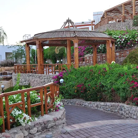 Sunrise Diamond Beach Resort -Grand Select-3