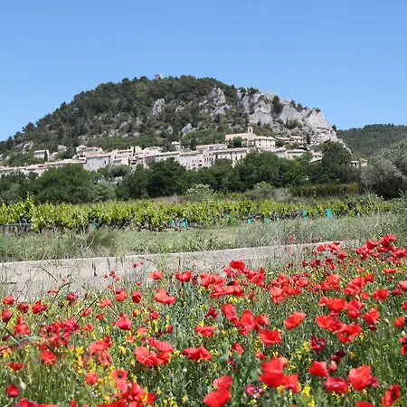 Domaine de Cabasse-2