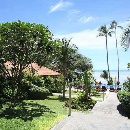 Palm Coco Mantra-3