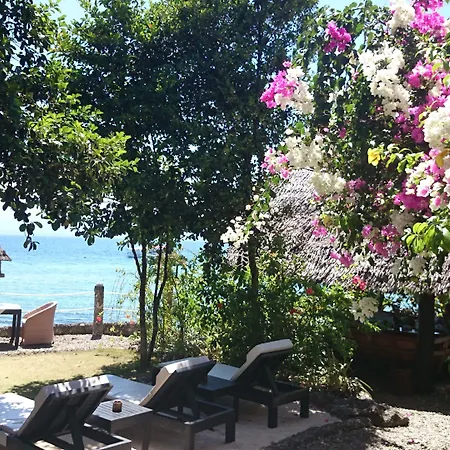 Dolphin House Resort Moalboal-3
