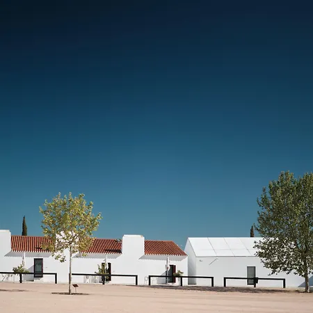 Torre De Palma Wine Hotel, Monforte, A Member Of Design Hotels-3