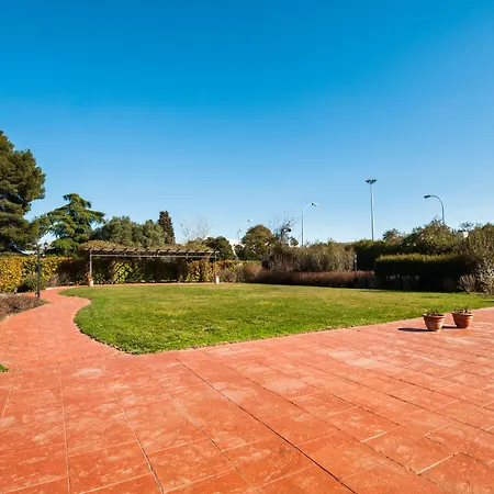 Hotel Los Olivos-3