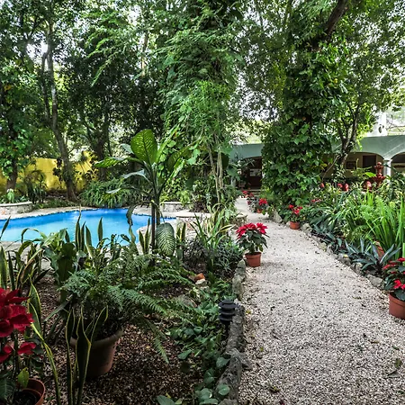Hotel Boutique Casa Quetzal-3