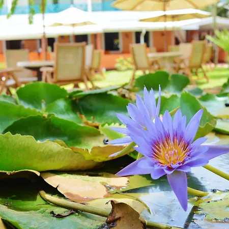 Mariners Hotel-2