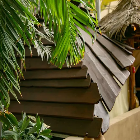 Tropical Islands-2