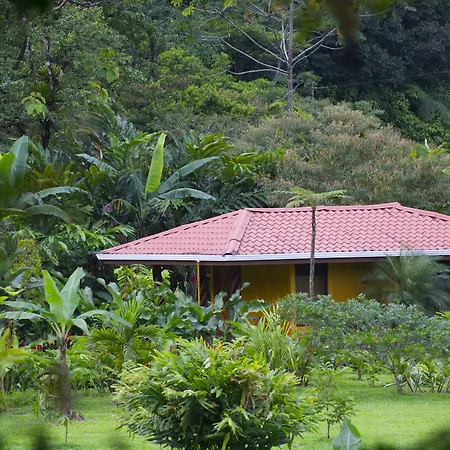 Hotel Catarata Rio Celeste-2