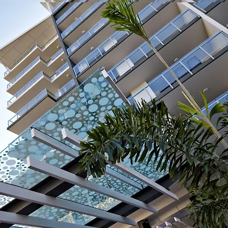 Verve On Cotton Tree-2
