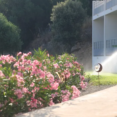 Domaine Bagia Donne-2