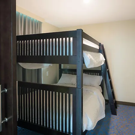 Springhill Suites By Marriott Fort Worth Fossil Creek-2