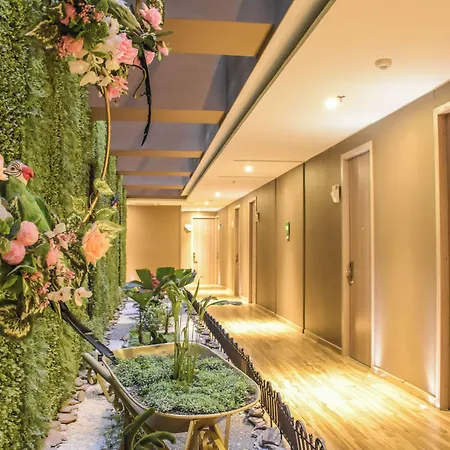 Hotel Catedral Plaza-3