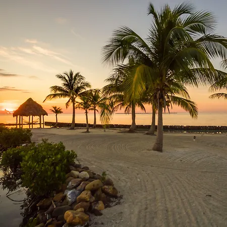 Royal Belize-2