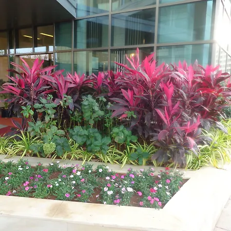 Radisson Blu Pune Hinjawadi-2