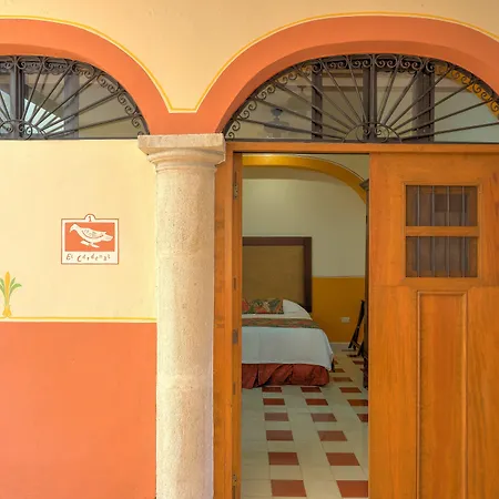 Hotel Luz En Yucatan-3