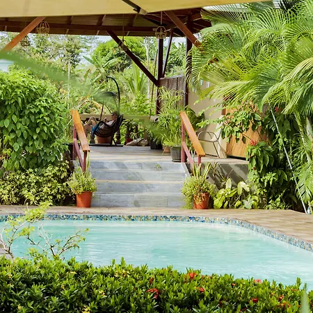 Hotel Margarita And Tour Operator Drake Bay-3