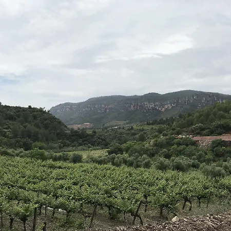 Terra Dominicata - Hotel & Winery - Adults Only-3