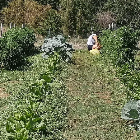 Locanda Vesuna Hotel Countryhouse-3