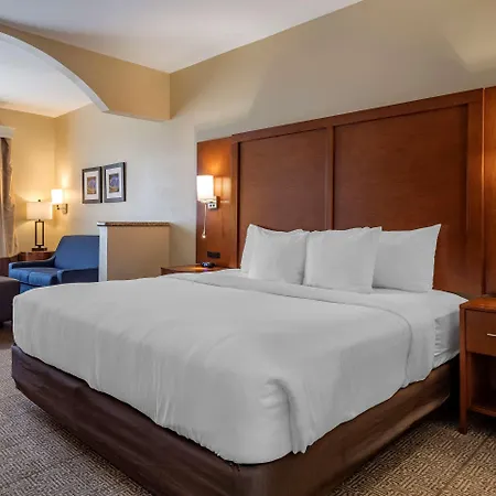 Comfort Suites Houston Near Medical Center- Nrg Stadium-3