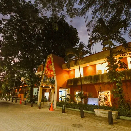 Maya Tulipanes Express-3