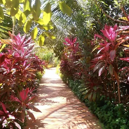 Domus Villas-3