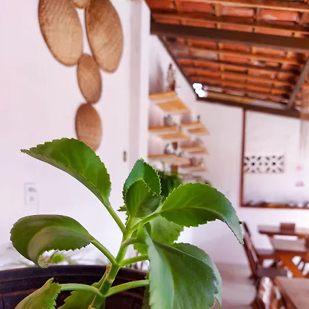 Pousada Do Enildo-3