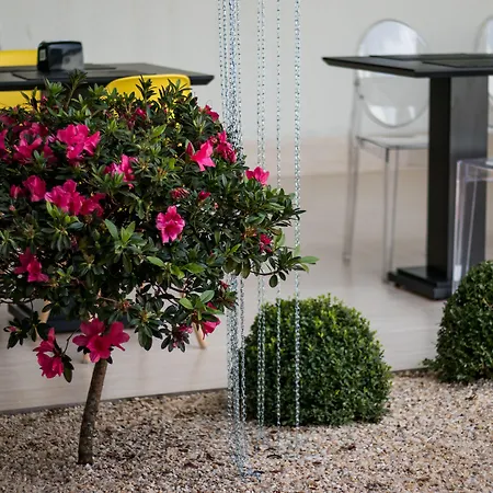 Allegro Hotel-2