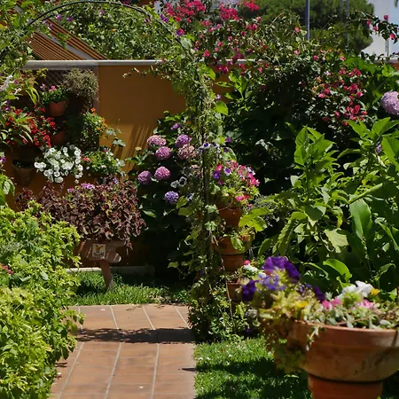 Hotel Doñana Blues-3