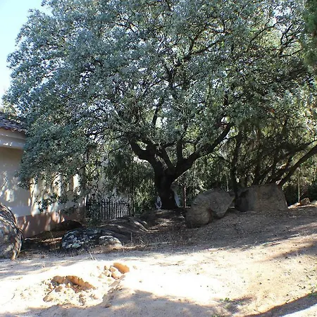 Hotel Las Nieves-2