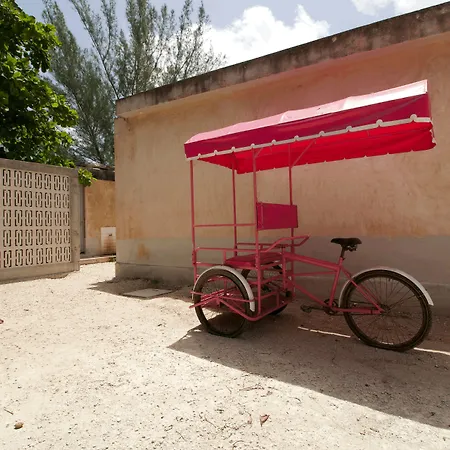 Club de Patos-3