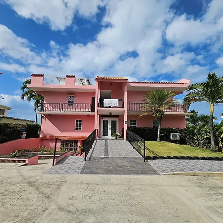 Selva Boutique Hotel - Luquillo Oceanfront Retreat - Adults Only-2