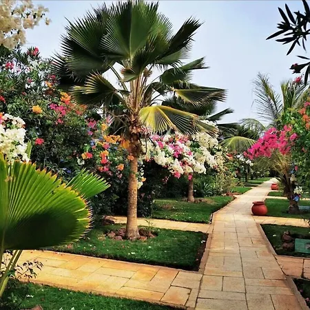 Royal Horizon Baobab-2