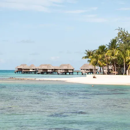 Le Tikehau By Pearl Resorts-3