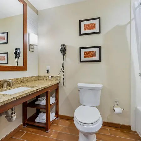 Comfort Inn & Suites Triadelphia - Wheeling-2