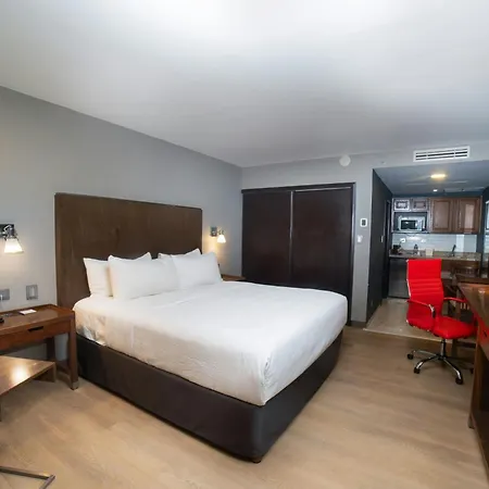 Four Points By Sheraton Saltillo-3