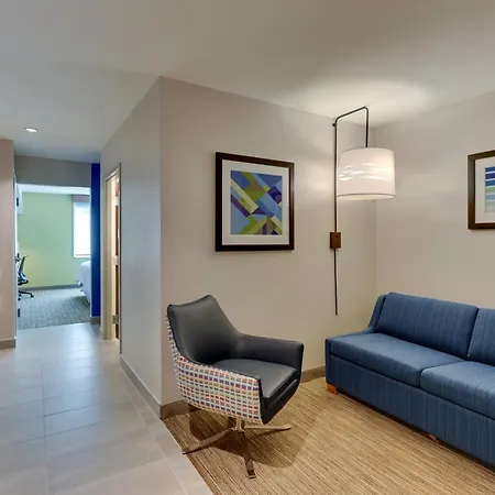 Holiday Inn Express & Suites - Dawsonville By Ihg-3