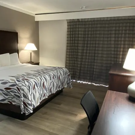 Red Roof Inn Gastonia-3