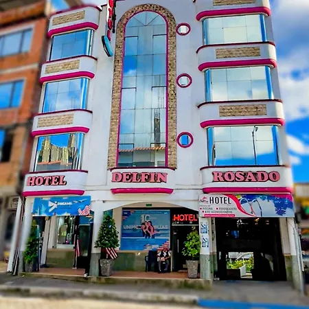 Hotel Delfin Rosado-3