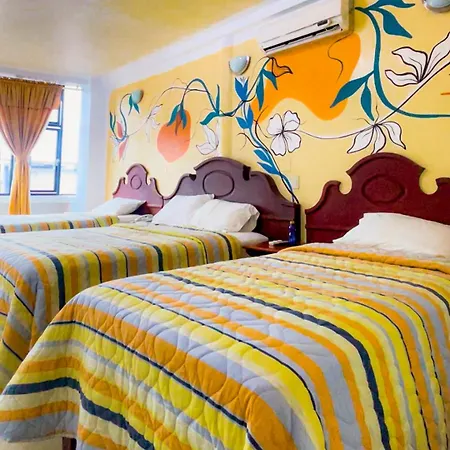 Hotel Delfin Rosado-2