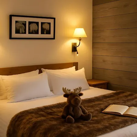 Logis Hotel Gai Soleil-2