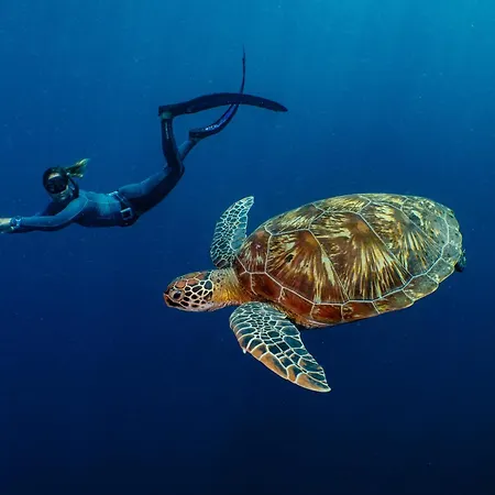 Bunaken Oasis Dive Resort And Spa-2