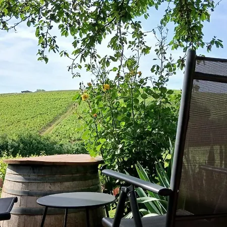 La Maison des Vignes-2
